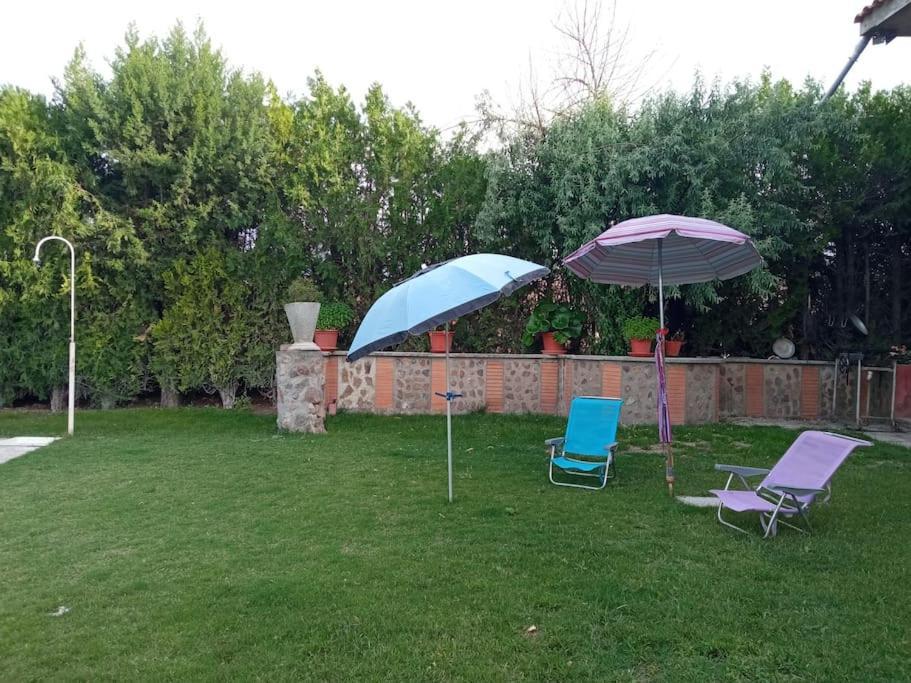 Finca Denunez Βίλα La Mata  Εξωτερικό φωτογραφία