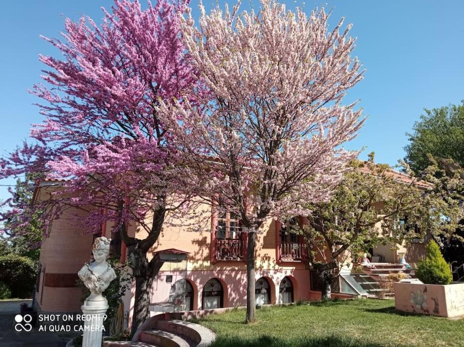 Finca Denunez Βίλα La Mata  Εξωτερικό φωτογραφία