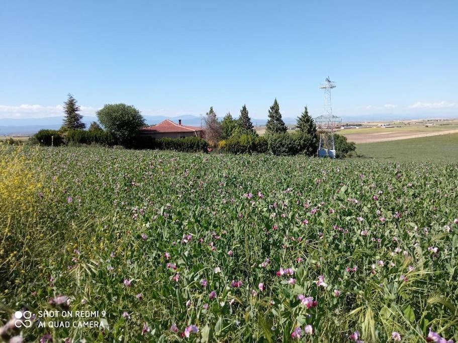 Finca Denunez Βίλα La Mata  Εξωτερικό φωτογραφία
